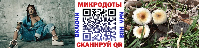 Купить закладки  Аксай  Галлюциногенные грибы мухоморы 