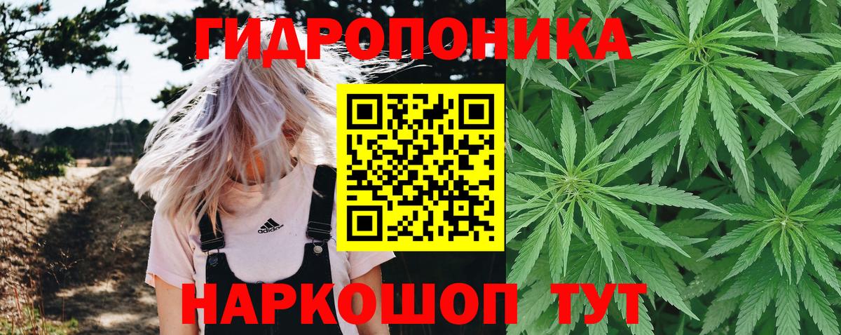 Бошки марихуана AK-47  Вход с VPN  Конопля Bruce Banner  Шишки марихуана White Widow  Аксай 